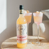 Mr Consistant Cocktail Mixers